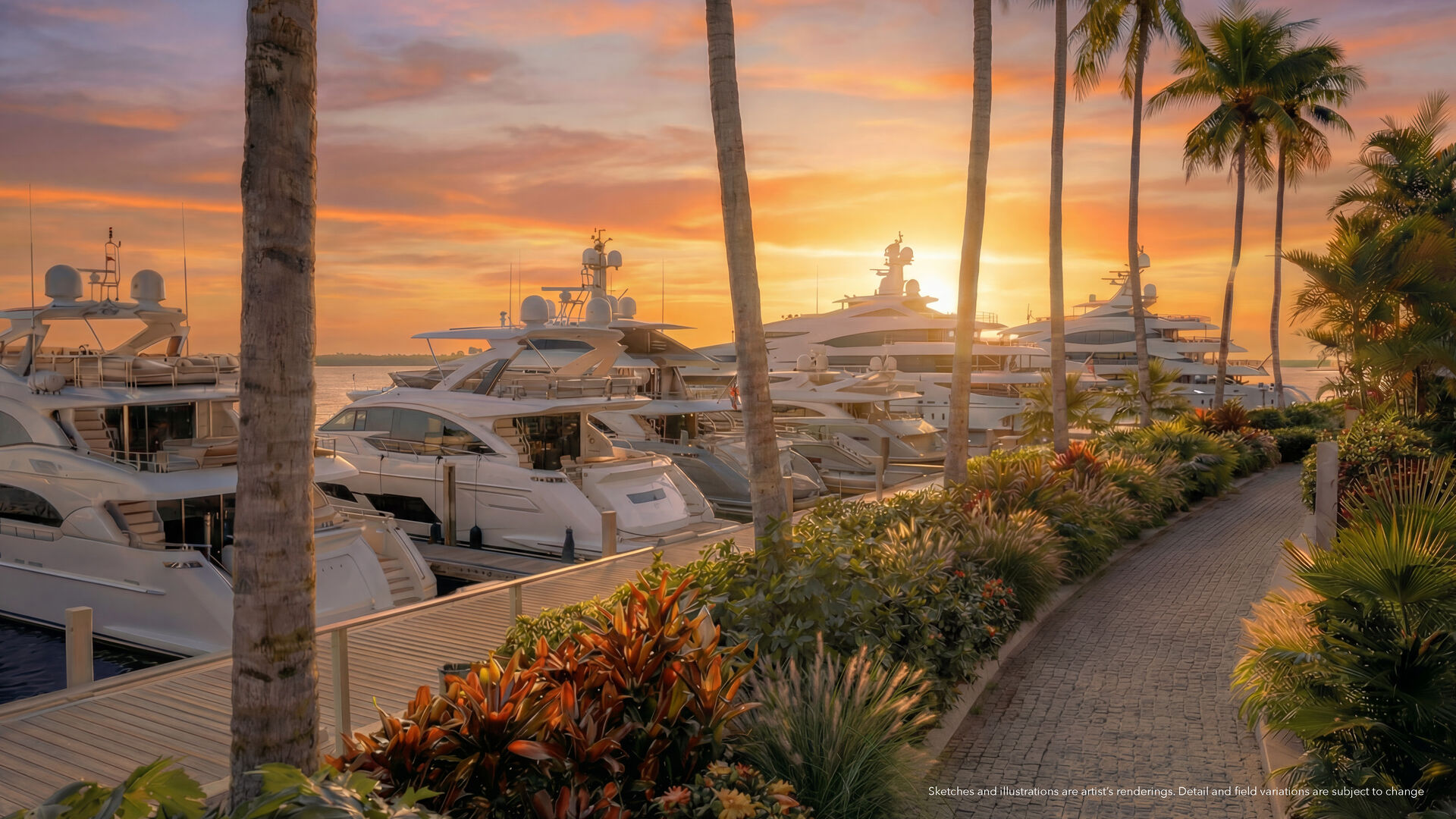 Marina at sunset
